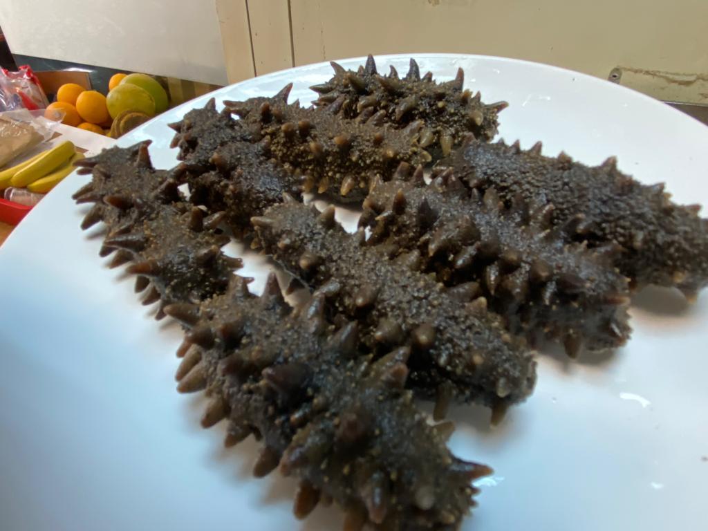 《震前》日本青森刺參(已浸發)